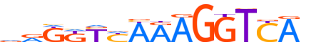 RXRA.H14INVIVO.2.SM.B motif logo (RXRA gene, RXRA_HUMAN protein)