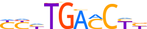RXRG.H14INVIVO.0.P.B reverse-complement motif logo (RXRG gene, RXRG_HUMAN protein)