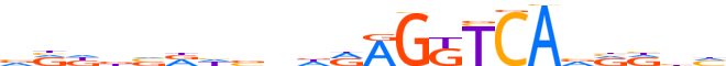 RXRG.H14INVIVO.2.P.B motif logo (RXRG gene, RXRG_HUMAN protein)