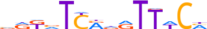 SIX1.H14INVIVO.0.P.B reverse-complement motif logo (SIX1 gene, SIX1_HUMAN protein)