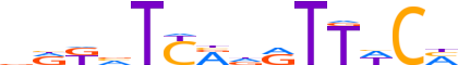 SIX2.H14INVIVO.0.P.B reverse-complement motif logo (SIX2 gene, SIX2_HUMAN protein)