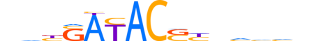 SIX4.H14INVIVO.1.M.C motif logo (SIX4 gene, SIX4_HUMAN protein)