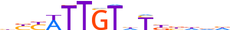 SOX17.H14INVIVO.1.P.B motif logo (SOX17 gene, SOX17_HUMAN protein)