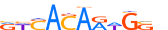 SOX30.H14INVIVO.0.P.C reverse-complement motif logo (SOX30 gene, SOX30_HUMAN protein)