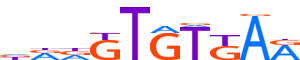 TBR1.H14INVIVO.0.PS.A motif logo (TBR1 gene, TBR1_HUMAN protein)