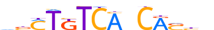 TBX20.H14INVIVO.0.P.C reverse-complement motif logo (TBX20 gene, TBX20_HUMAN protein)