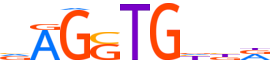 TBX4.H14INVIVO.0.PS.A motif logo (TBX4 gene, TBX4_HUMAN protein)
