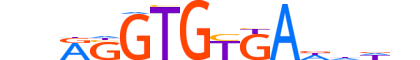 TBXT.H14INVIVO.1.PSM.A motif logo (TBXT gene, TBXT_HUMAN protein)