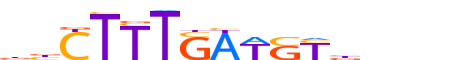 TCF7.H14INVIVO.0.PSM.A reverse-complement motif logo (TCF7 gene, TCF7_HUMAN protein)