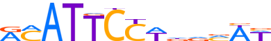 TEAD1.H14INVIVO.1.P.C motif logo (TEAD1 gene, TEAD1_HUMAN protein)