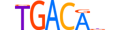 TF2LX.H14INVIVO.0.SM.D motif logo (TGIF2LX gene, TF2LX_HUMAN protein)