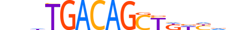 TF2LX.H14INVIVO.1.SM.D motif logo (TGIF2LX gene, TF2LX_HUMAN protein)