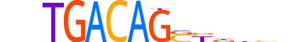 TF2LY.H14INVIVO.0.SM.D motif logo (TGIF2LY gene, TF2LY_HUMAN protein)