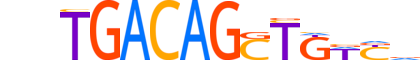 TF2LY.H14INVIVO.1.SM.D motif logo (TGIF2LY gene, TF2LY_HUMAN protein)