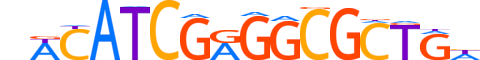 TF7L1.H14INVIVO.2.S.C reverse-complement motif logo (TCF7L1 gene, TF7L1_HUMAN protein)