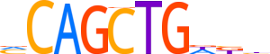 TFAP4.H14INVIVO.0.PSM.A motif logo (TFAP4 gene, TFAP4_HUMAN protein)