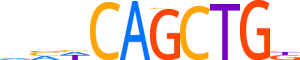 TFAP4.H14INVIVO.0.PSM.A reverse-complement motif logo (TFAP4 gene, TFAP4_HUMAN protein)