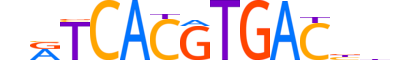 TFEC.H14INVIVO.0.M.D reverse-complement motif logo (TFEC gene, TFEC_HUMAN protein)