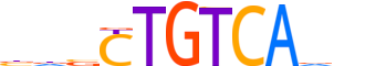 TGIF2.H14INVIVO.1.PSM.A reverse-complement motif logo (TGIF2 gene, TGIF2_HUMAN protein)