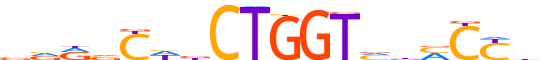 TTF1.H14INVIVO.0.PS.A reverse-complement motif logo (TTF1 gene, TTF1_HUMAN protein)