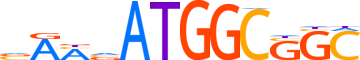 TYY2.H14INVIVO.0.PS.A motif logo (YY2 gene, TYY2_HUMAN protein)