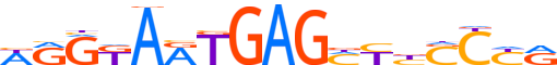 Z286B.H14INVIVO.0.PSG.A motif logo (ZNF286B gene, Z286B_HUMAN protein)