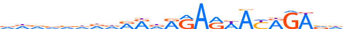 Z585A.H14INVIVO.0.P.C motif logo (ZNF585A gene, Z585A_HUMAN protein)