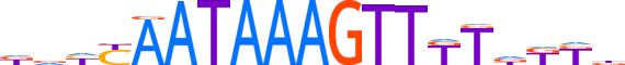 ZBT40.H14INVIVO.0.PSG.A reverse-complement motif logo (ZBTB40 gene, ZBT40_HUMAN protein)