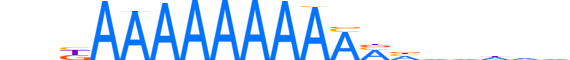 ZN362.H14INVIVO.0.PSGI.A motif logo (ZNF362 gene, ZN362_HUMAN protein)