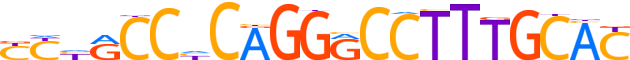 ZN623.H14INVIVO.0.PG.A motif logo (ZNF623 gene, ZN623_HUMAN protein)