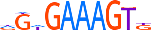 ZN683.H14INVIVO.0.PSG.A motif logo (ZNF683 gene, ZN683_HUMAN protein)