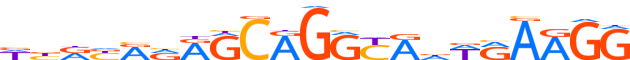 ZN699.H14INVIVO.0.PSG.A motif logo (ZNF699 gene, ZN699_HUMAN protein)