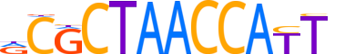 ZN771.H14INVIVO.0.SM.D reverse-complement motif logo (ZNF771 gene, ZN771_HUMAN protein)
