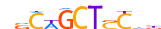 ZNF66.H14INVIVO.0.PG.A motif logo (ZNF66 gene, ZNF66_HUMAN protein)