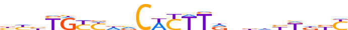 ZNF7.H14INVIVO.0.P.B motif logo (ZNF7 gene, ZNF7_HUMAN protein)