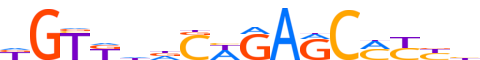ZSC16.H14INVIVO.0.PSM.A motif logo (ZSCAN16 gene, ZSC16_HUMAN protein)