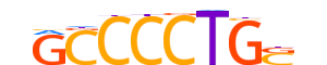 ZXDC.H14INVIVO.0.PI.A motif logo (ZXDC gene, ZXDC_HUMAN protein)