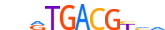 ATF1.H14INVIVO.0.P.B motif logo (ATF1 gene, ATF1_HUMAN protein)
