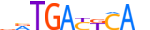 ATF3.H14INVIVO.0.P.B motif logo (ATF3 gene, ATF3_HUMAN protein)