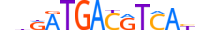 ATF3.H14INVIVO.3.SM.B motif logo (ATF3 gene, ATF3_HUMAN protein)