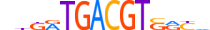 ATF6B.H14INVIVO.0.SM.D motif logo (ATF6B gene, ATF6B_HUMAN protein)