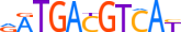 ATF7.H14INVIVO.0.PSM.A motif logo (ATF7 gene, ATF7_HUMAN protein)