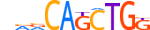 BHA15.H14INVIVO.0.P.B motif logo (BHLHA15 gene, BHA15_HUMAN protein)