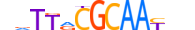 CEBPE.H14INVIVO.1.SM.B motif logo (CEBPE gene, CEBPE_HUMAN protein)