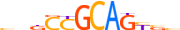 CMTA1.H14INVIVO.0.PSGI.A motif logo (CAMTA1 gene, CMTA1_HUMAN protein)