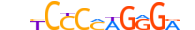 COE3.H14INVIVO.0.P.B motif logo (EBF3 gene, COE3_HUMAN protein)