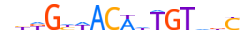 DMRT1.H14INVIVO.0.PS.A motif logo (DMRT1 gene, DMRT1_HUMAN protein)