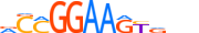 ERG.H14INVIVO.0.P.B motif logo (ERG gene, ERG_HUMAN protein)