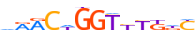 GRHL2.H14INVIVO.1.P.B motif logo (GRHL2 gene, GRHL2_HUMAN protein)