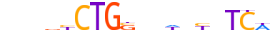 HAND2.H14INVIVO.0.P.B motif logo (HAND2 gene, HAND2_HUMAN protein)